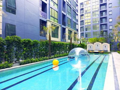 𝗖𝗲𝗿𝗼𝗰𝗰𝗼 𝗕𝗮𝗻𝗴𝗻𝗮 𝟯𝟲