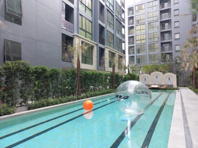 Cerocco Bangna 36_411